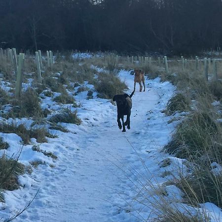 Aviemore Highlands No82 Bagian luar foto