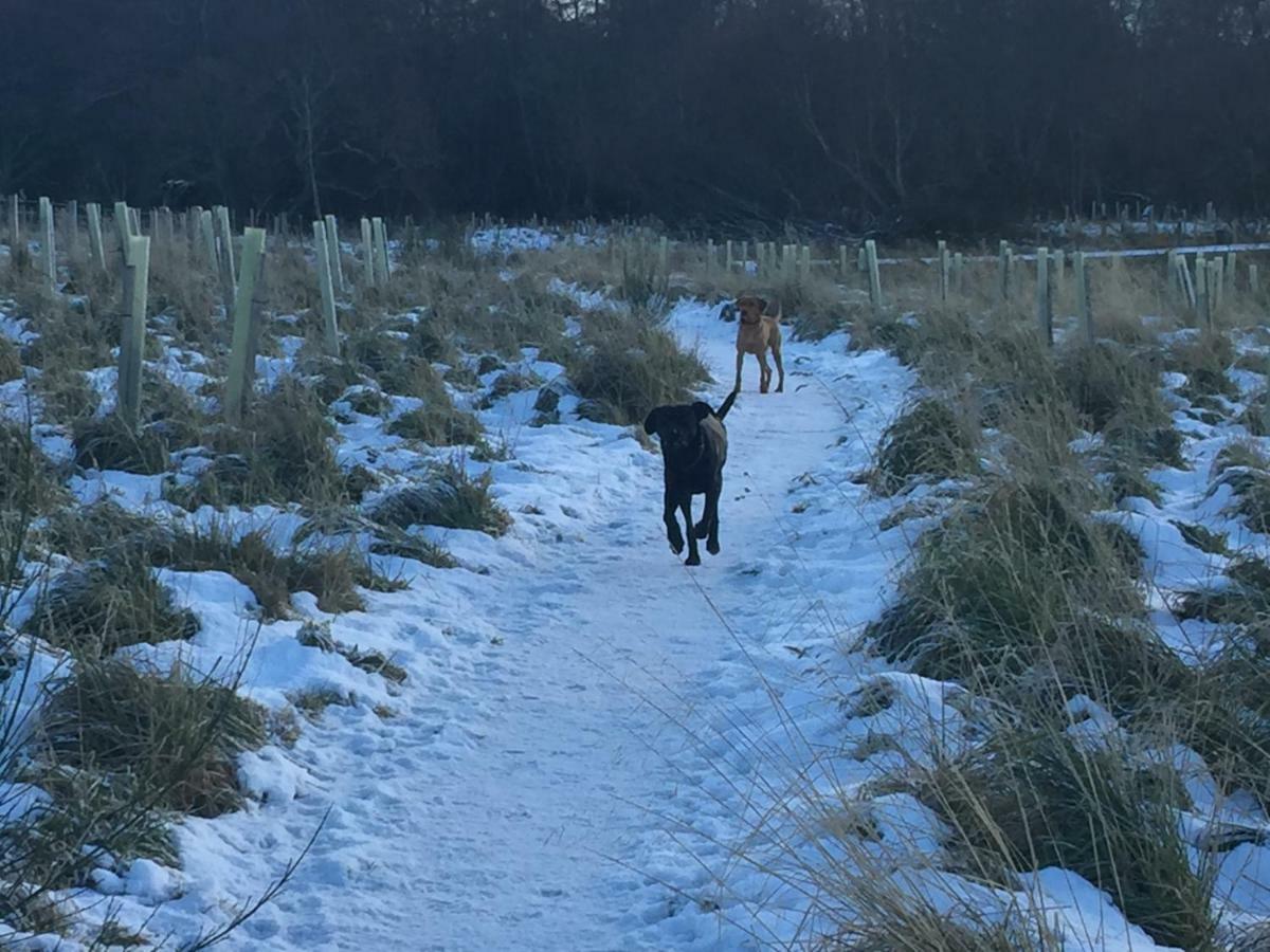 Aviemore Highlands No82 Bagian luar foto